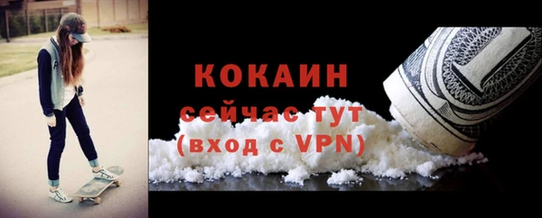 мдпв Магас