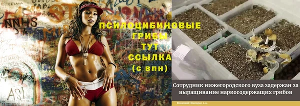 спайс Белая Холуница