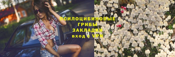 apvp Бежецк