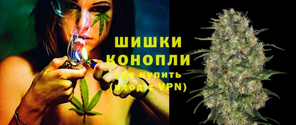 мдпв Магас