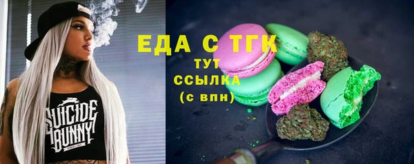 мдпв Магас