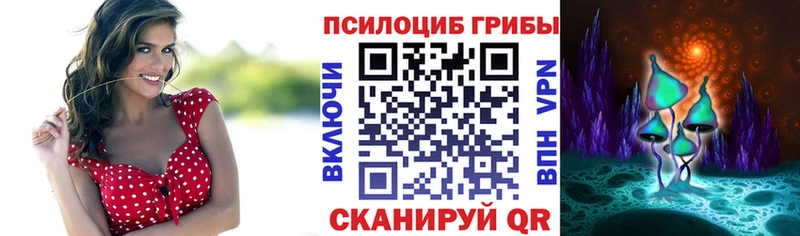 как найти   Щучье  Галлюциногенные грибы ЛСД 